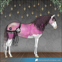 Horse Color:Classic Cream Champagne Splash Rabicano 