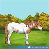 Horse Color:Chestnut Tobiano Frame 