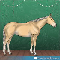 Horse Color:Palomino Rabicano 