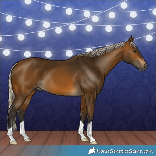 Horse Color:Gray Silver Buckskin 