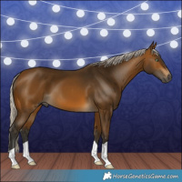 Horse Color:Gray Silver Buckskin