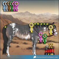 Horse Color:Brown Sabino Varnish 