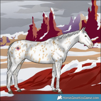 Horse Color:Silver Buckskin Dun Blanket 