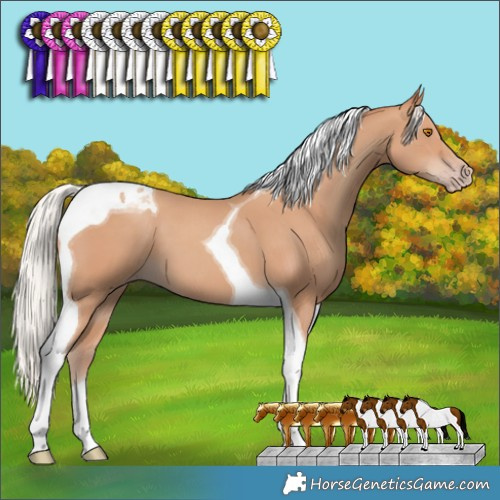 Horse Color:Silver Classic Champagne Tobiano