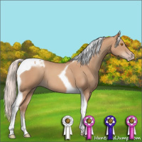 Horse Color:Silver Classic Champagne Tobiano