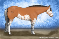 Horse Color:Bay  and Bay Splash 