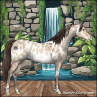 Horse Color:White Spotted Sable Champagne Dun Near Leopard 