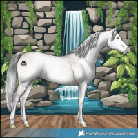 Horse Color:Gray White Spotted Sable Champagne Onyx Sabino 