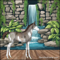 Horse Color:Liver Chestnut Ice Splash 