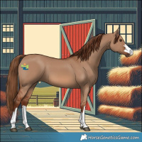 Horse Color:Red Dun 