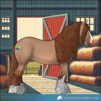 Horse Color:Red Dun 