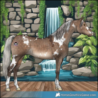 Horse Color:White Spotted Silver Brown Dun 
