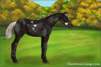 Horse Color:Midnight Silver Black Ice