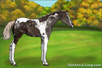 Horse Color:Midnight Silver Bay Ice Splash Tobiano Rabicano 