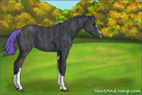 Horse Color:Watercolor Midnight Black Ice Sabino Tobiano 