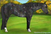 Horse Color:Midnight Grullo Ice
