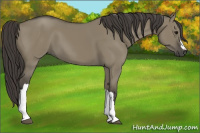 Horse Color:Smoky Grullo 