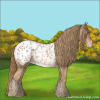 Horse Color:Chestnut Blanket 