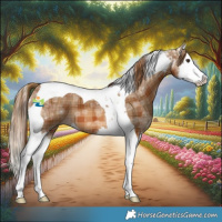 Horse Color:Plaid Chestnut Ice Splash Tobiano