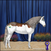Horse Color:Gray Silver Bay Splash Rabicano