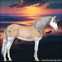 Horse Color:Silver Amber Champagne Splash Rabicano 