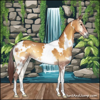 Horse Color:White Spotted Chocolate Buckskin Onyx 