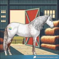 Horse Color:Gray White Spotted Chestnut 