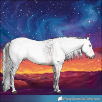 Horse Color:Gray Platinum Bay  and Platinum Silver Brown Dun Appaloosa Brindle 