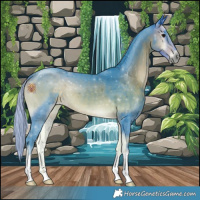 Horse Color:Watercolor Silver Buckskin Onyx 