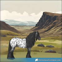 Horse Color:Blue Roan Near Leopard 
