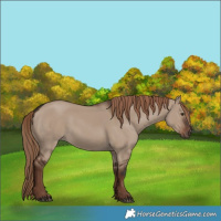 Horse Color:Liver Red Dun Rabicano 