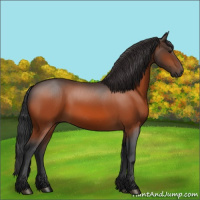 Horse Color:Brown 