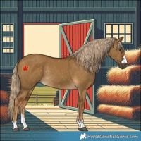 Horse Color:Chocolate Palomino Dun Rabicano 