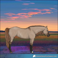 Horse Color:Liver Red Dun Rabicano 