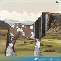 Horse Color:White Spotted Liver Red Dun Tobiano Rabicano 