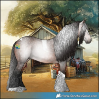 Horse Color:Gray Bay Tobiano Rabicano
