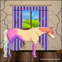 Horse Color:Palomino Splash 