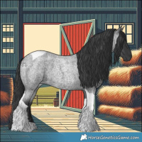 Horse Color:Blue Roan Tobiano 