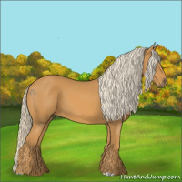Horse Color:Palomino 