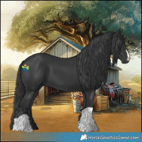 Horse Color:Black 