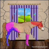 Horse Color:Red Roan 