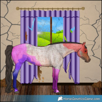 Horse Color:Bay Roan 