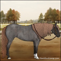 Horse Color:Liver Red Roan
