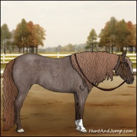 Horse Color:Liver Red Roan