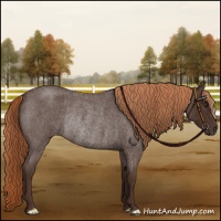 Horse Color:Liver Red Roan Rabicano 