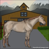 Horse Color:Liver Red Dun Rabicano 
