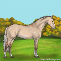 Horse Color:Silver Bay Dun Sabino Tobiano Frame Rabicano 