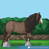 Horse Color:Liver Red Dun Rabicano 