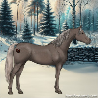Horse Color:Silver Black 