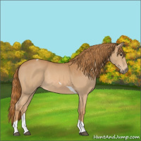 Horse Color:Chestnut Tobiano Rabicano 